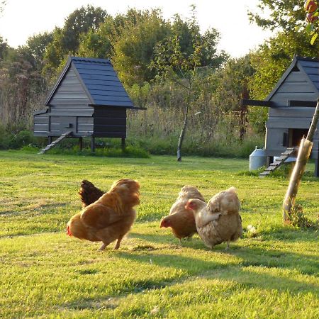 The Oaks Glamping - Magpie Half Shepherds Hut Hotel Colkirk Bagian luar foto