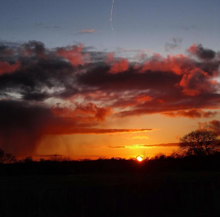The Oaks Glamping - Magpie Half Shepherds Hut Hotel Colkirk Bagian luar foto