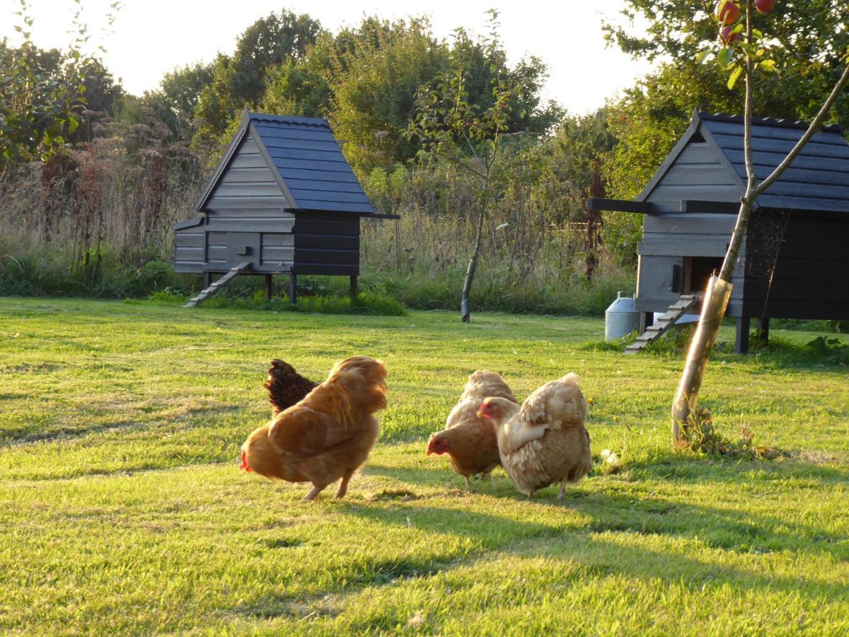 The Oaks Glamping - Magpie Half Shepherds Hut Hotel Colkirk Bagian luar foto